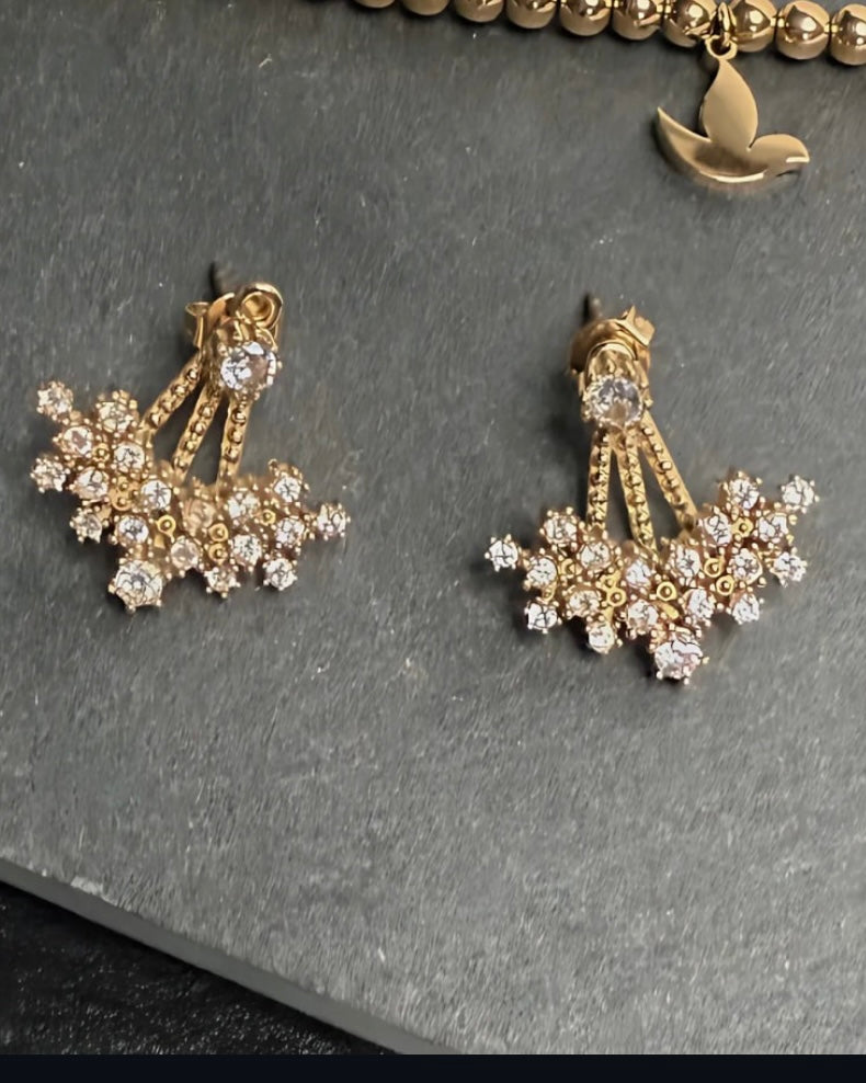 POINTED EARRINGS
