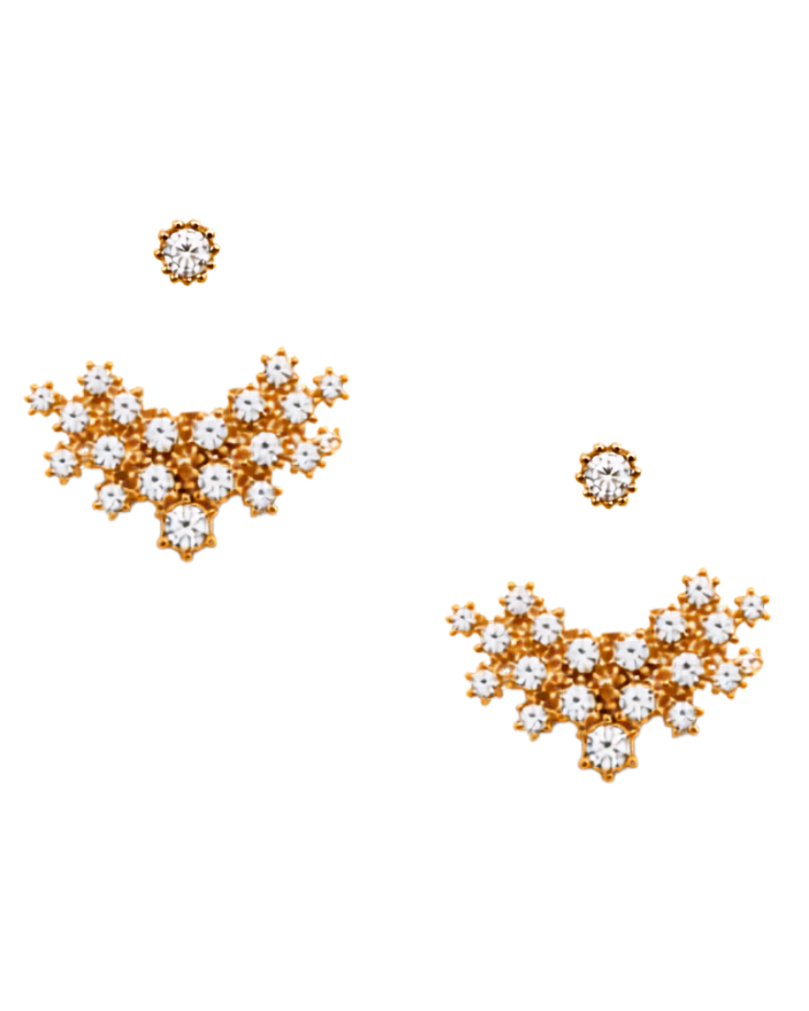 POINTED EARRINGS
